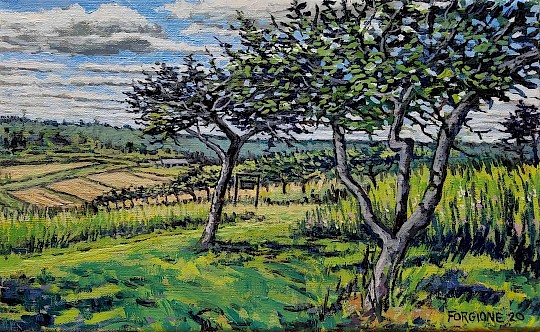 Trout Brook Orchard