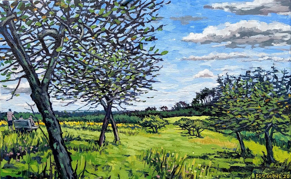 Trout Brook Summer Orchard