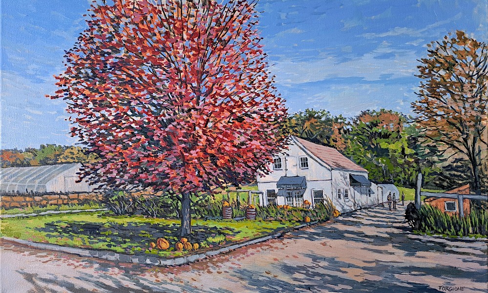 Sport Hill Farm, Fall Colors