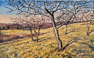 Trout Brook Winter Light