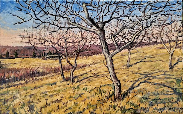 Trout Brook Winter Light